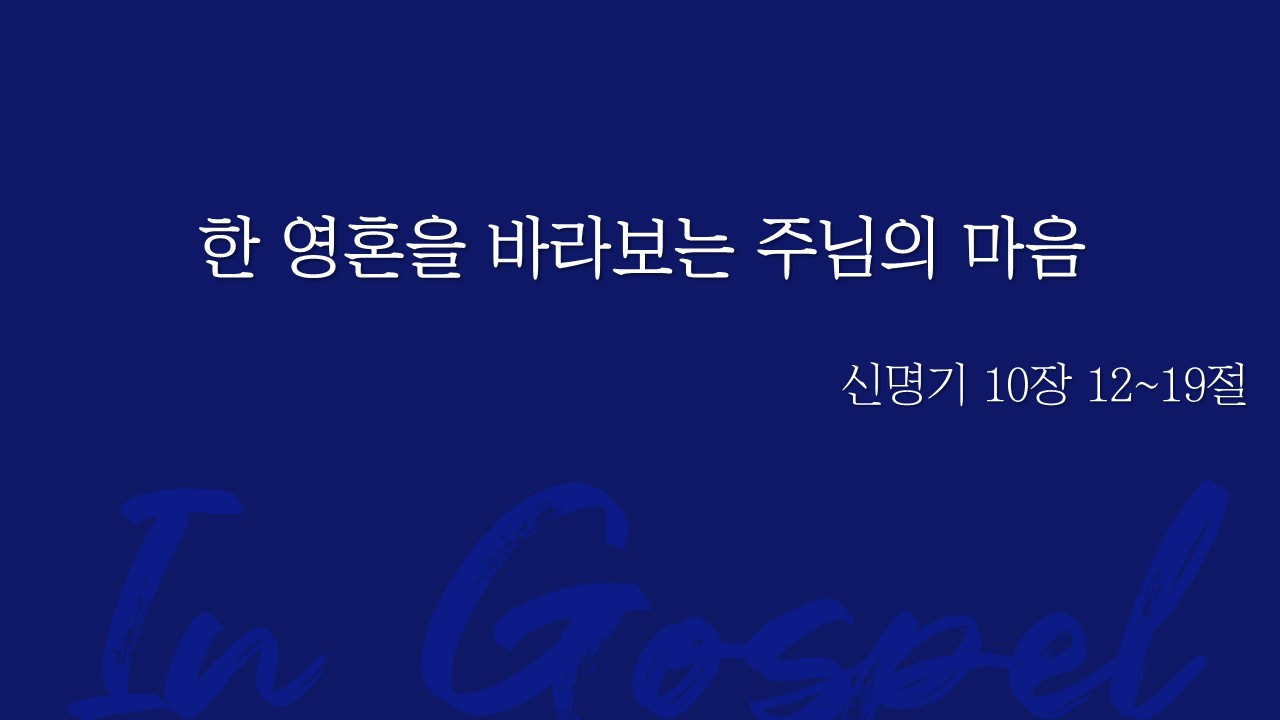 한 영혼을 바라보는 주님의 마음 썸네일